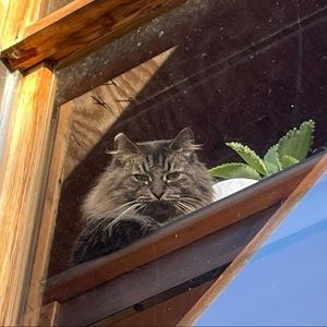 Meet your Posher, Lucy